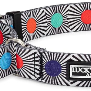 Lucky Love Dog Collar Martingala Mediano, Antideslizante