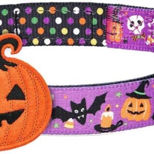 Blueberry Pet Collar Halloween Pumpkin Grande