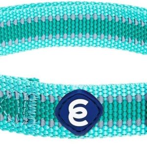 Collar reflectante Green Menta Blueberry Pet para perro pequeño