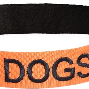 Collar Dexil 'Sin Perros' - Naranja (S-M, L-XL) - Seguridad Canina
