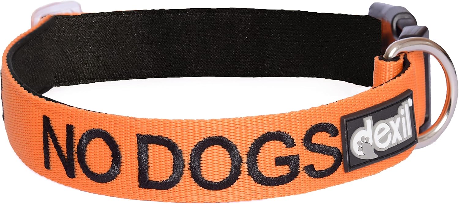 Collar Dexil 'Sin Perros' - Naranja (S-M, L-XL) - Seguridad Canina