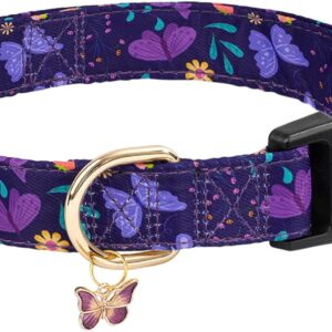 Collar Gelwoo mariposa morada ajustable para perro
