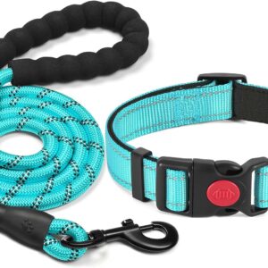 haapaw Collar de perro reflectante acolchado con neopreno