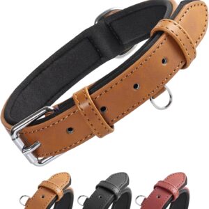 Collar de Cuero Grand Line para Perro, Acolchado y Ajustable