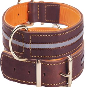 Collar de perro de cuero grueso resistente y reflectante (Marrón, M)