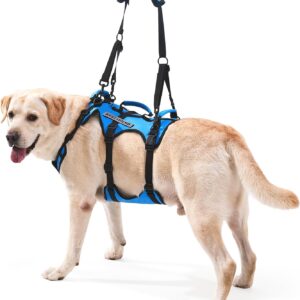 Arnés elevador para perros grandes con 3 asas, azul