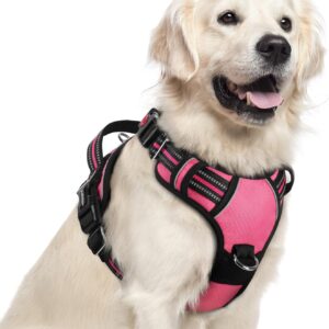 Arnés rabbitgoo para perro XL, rosa, ajustable sin tirones
