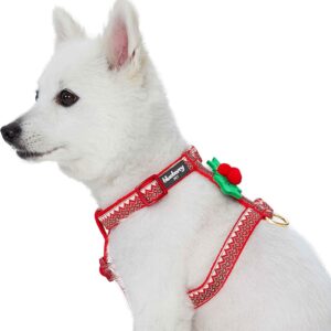 Blueberry Pet Arnés Navidad Zigzag Grande