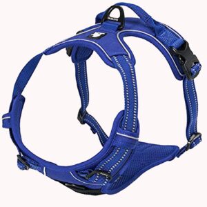 TrueLove TLH5651 - Arnés para perros grandes con reflectantes