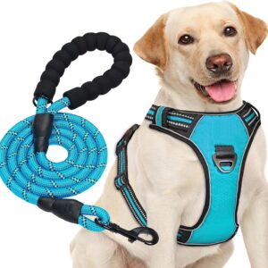 Arnés para perro Haapaw sin tirar, ajustable y reflectante