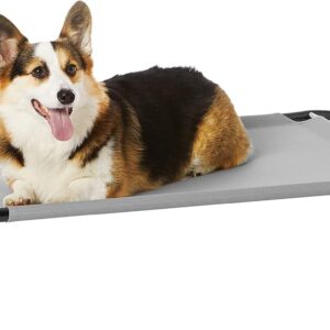 Cama elevada Amazon Basics para perros, Medium, gris