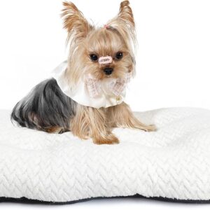 Cama lavable para perros pequeños, 22" S, blanco