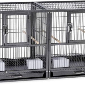 Jaula criador Prevue Hampton Deluxe F075 (37,5x18x20,5 cm) - Negra