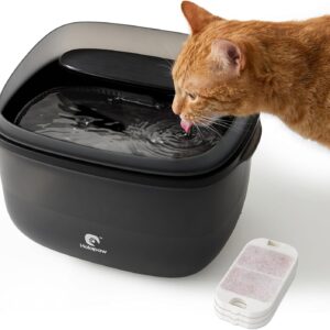 Fuente para gatos 3,78L HOLAPAW - Bebedero tranquilo y seguro