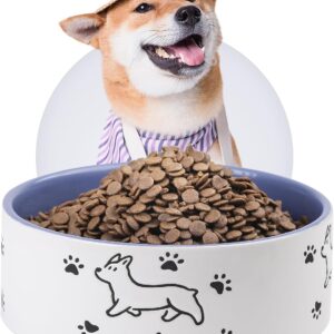 Comedero de cerámica para perros grandes PTOBER púrpura 1900 ml