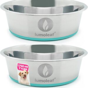 LumoLeaf Cuenco para perros grande 22 cm acero inoxidable doble
