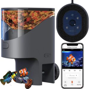 Comedero peces WiFi con cámara 2.5K HD | Yamoso