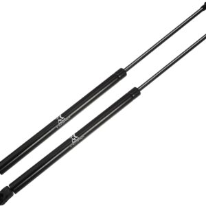 Soportes elevación maletero Nissan Qashqai J11 2014-2019
