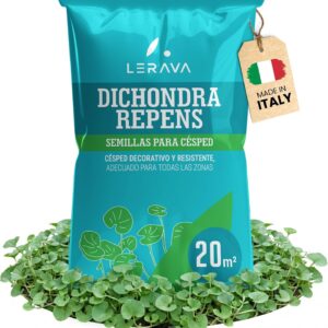 Semillas Dichondra Repens LERAVA® 200g - Césped resistente y sin corte