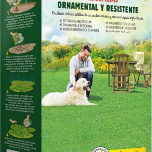 Semillas Batlle Césped Ornamental Resistente 500 g