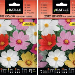 Semillas Cosmos Sensación Flor Gigante (2 uds) - Batlle
