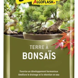 Algoflash Tierra para Bonsáis 6L - Listo para Usar - Fabricado en Francia