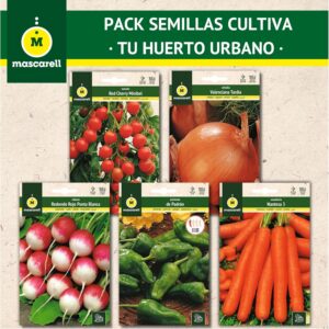 Kit Huerto Urbano: Semillas fáciles de cultivar