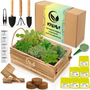Mini huerto urbano Kiwavi: hierbas aromáticas frescas en casa