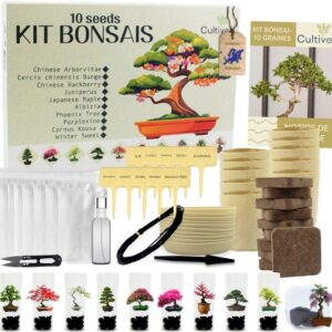 Kit Bonsái Cultivea® 10 Árboles - Ideal para Principiantes