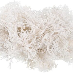 Patikil Musgo Blanco Artificial 1.8 oz | Decoración Natural sin Mantenimiento