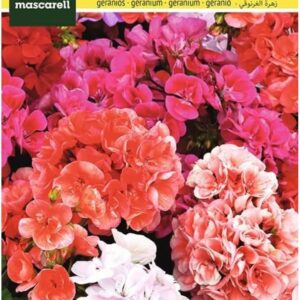Mascarell Semillas Geranio Exterior Variado - Sobre 0.05g