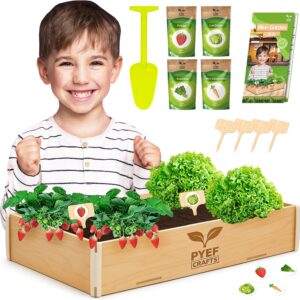 Kit Huerto Infantil PYEF CRAFTS: 4 semillas ecológicas + caja madera