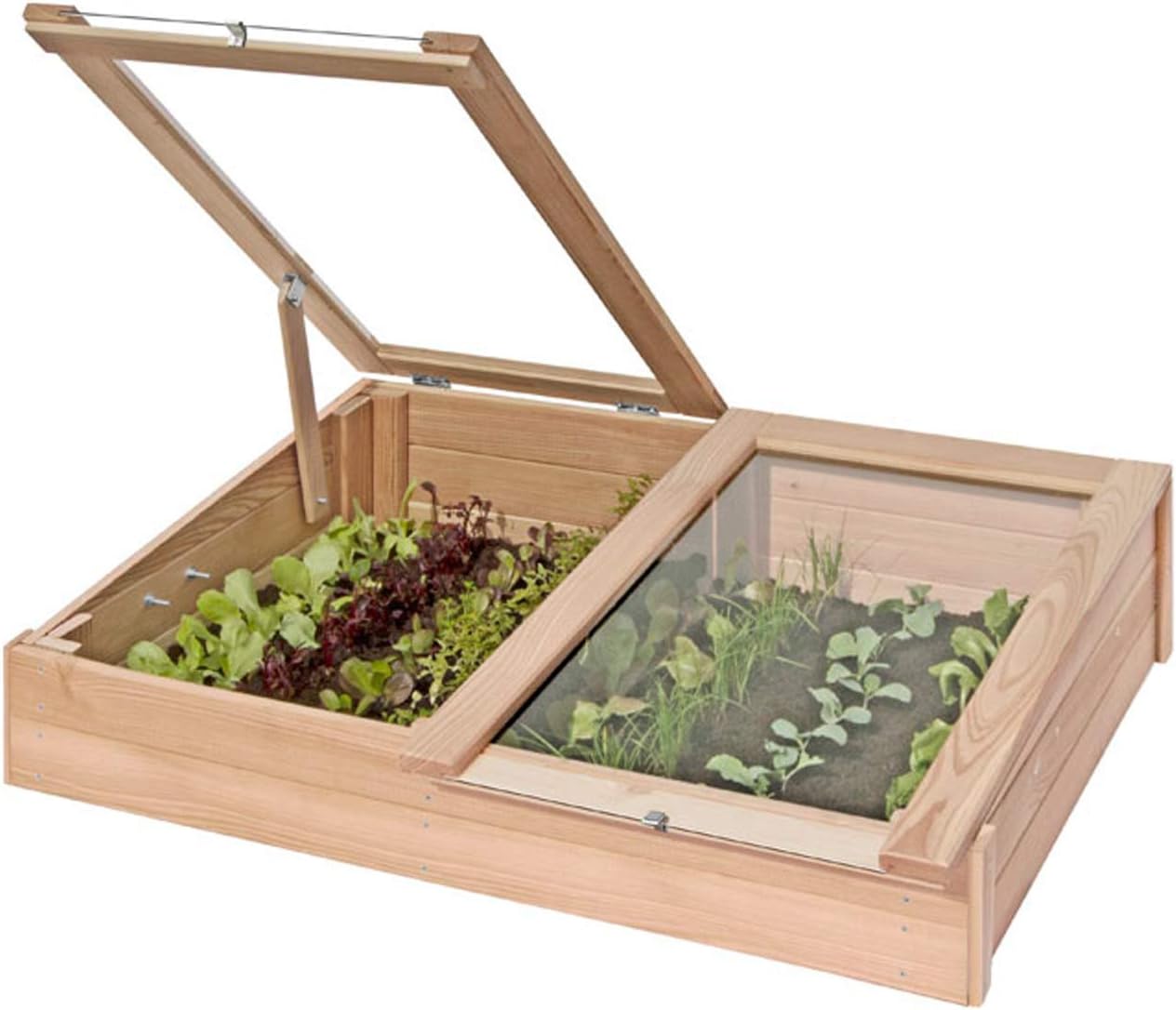 Semillero de alerce 119 cm con invernadero Gartenpirat