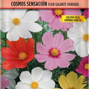 Semillas Cosmos Sensación Flor Gigante - Batlle