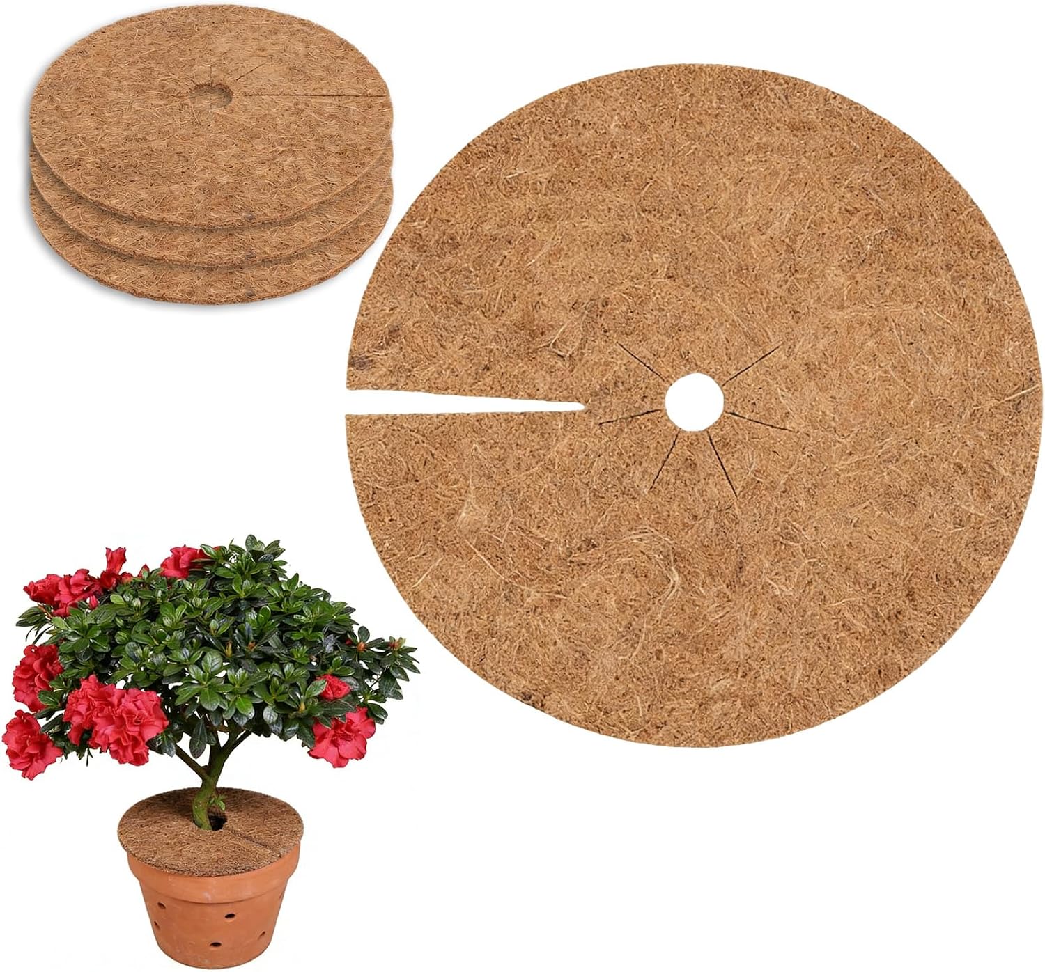 4 esterillas de coco para plantas con corte central (60 cm)