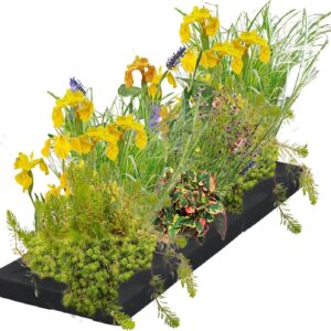 Filtro flotante para estanque con 12 plantas - Kit completo