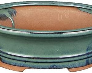 Maceta bonsái oval gres verde 17,5 cm - Geosism & Nature