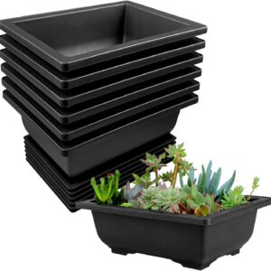 Macetas Bonsai Negro 6 uds. con Bandeja - Plástico Resistente