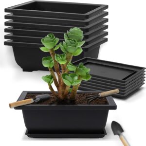 dellyy Set 6 macetas bonsái plásticas con herramientas