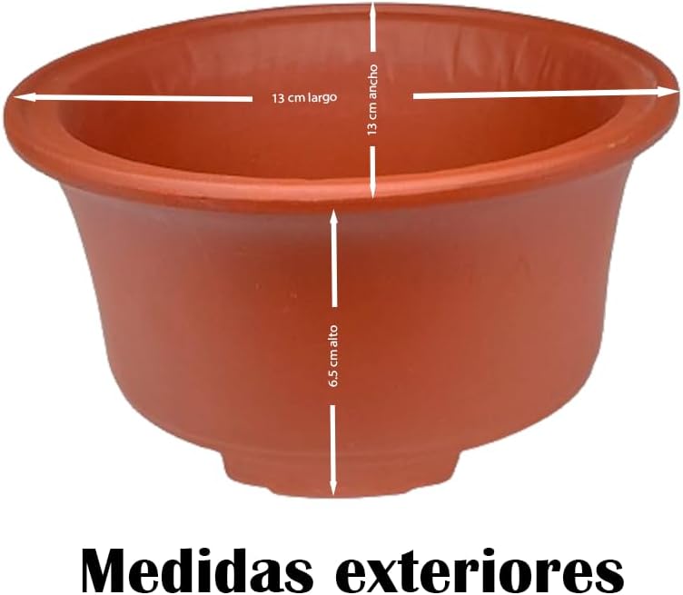 Maceta Bonsái Shohin Cerámica Roja 13x13 cm - Gres SETO Japón