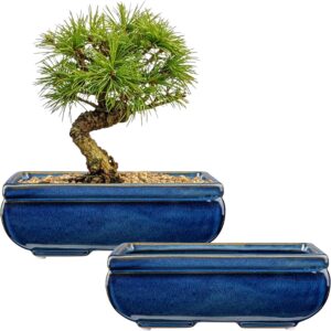 Juego de 2 macetas de cerámica para bonsái Oairse (azul, 22 cm)