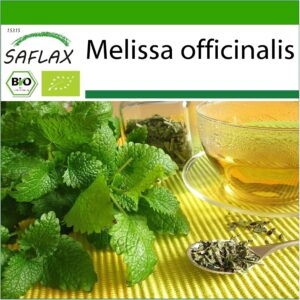 SAFLAX Melisa Ecológica - 1000 semillas - Melissa officinalis