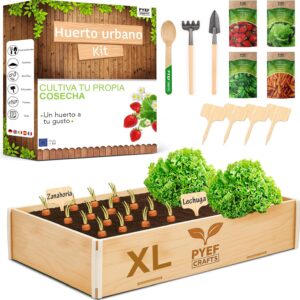 Kit XL Huerto Urbano Ecológico PYEF CRAFTS