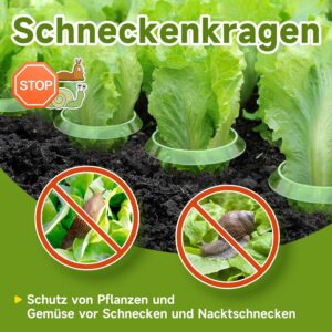 Protege tus plantas con Cuellos de Caracol KAZATE (12 uds.)
