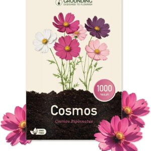 Grounding Cosmea Mix: semillas blancas, rosa y fucsia 1000 uds.