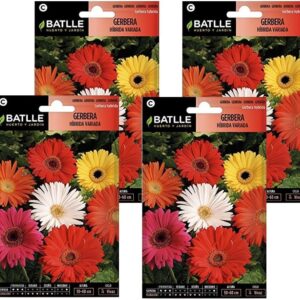 Semillas Gerbera Variada Pack 4 uds. Semillas Batlle