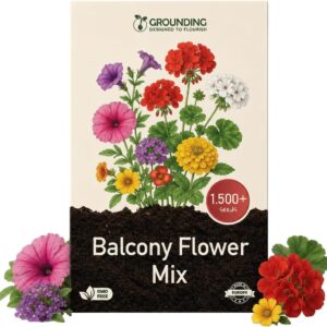Grounding - Mezcla de semillas florales para balcón multicolor