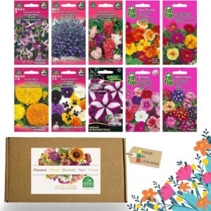 Nojaus - 10 variedades de semillas de flores para balcón