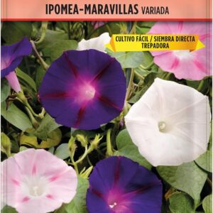 Ipomea Maravillas Trepadora – Semillas Batlle para Jardín