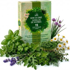 Nojus – Set de 15 semillas aromáticas para huerto y cocina
